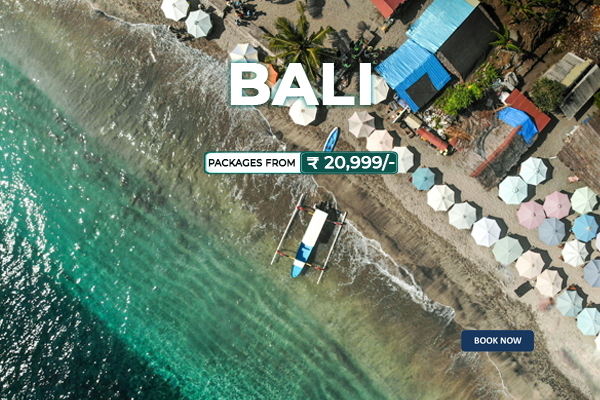 Bali-Plus-Tour-Travels