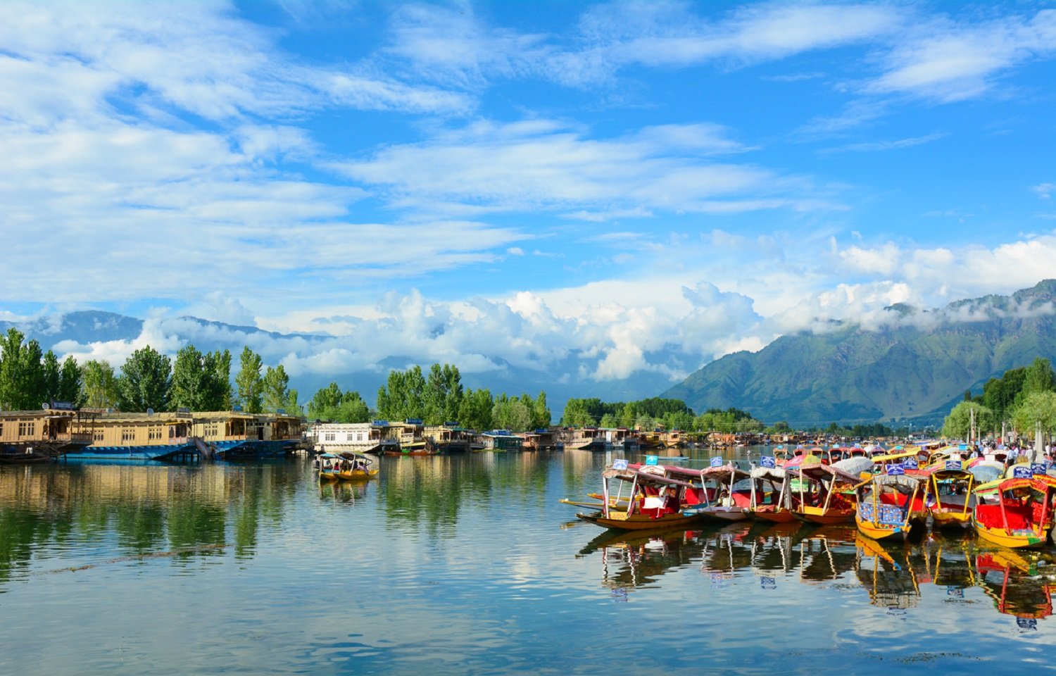 Dal lake Srinagar